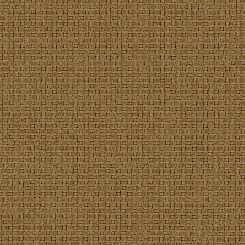003-2021-2